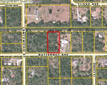 4886 Butternut Ave, Bunnell, FL 32110