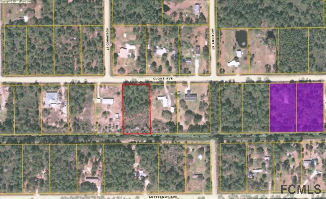 4555 Clove Avenue, Bunnell, FL 32110