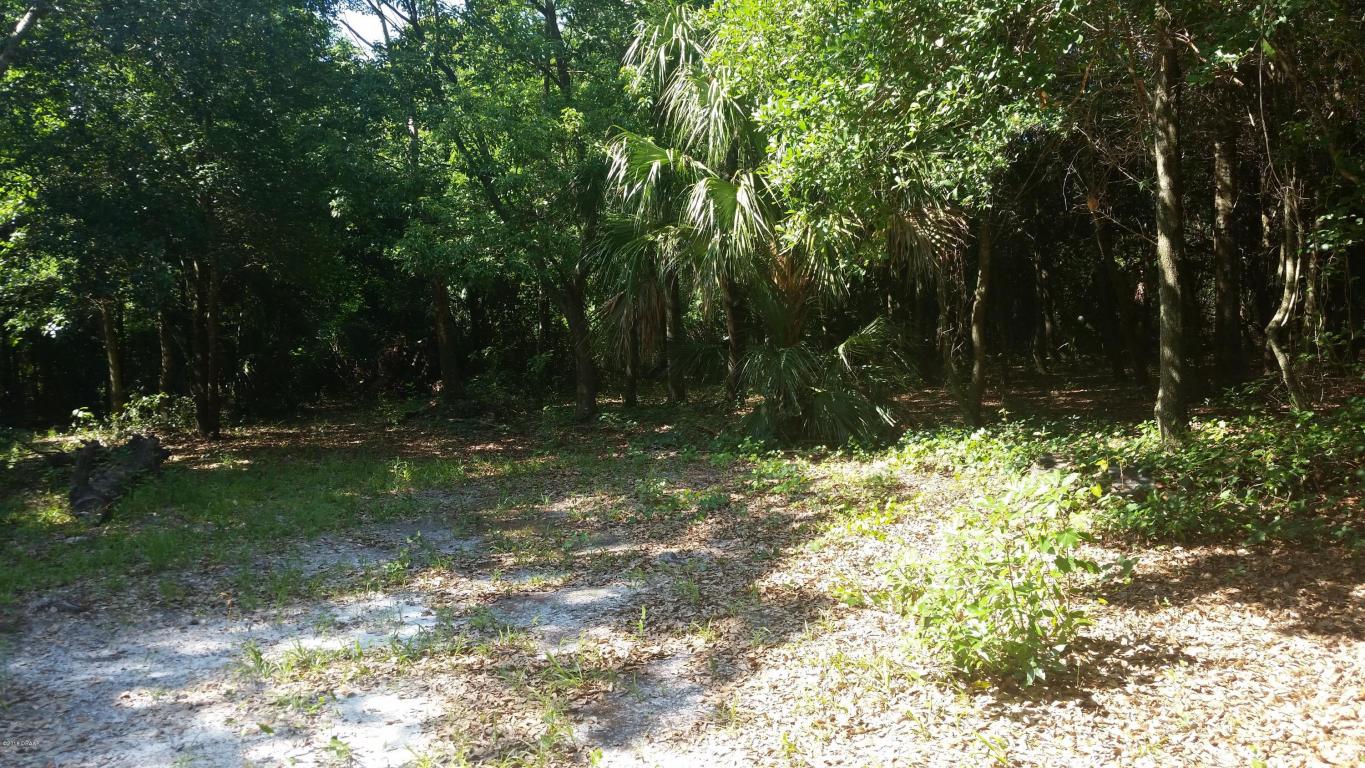0 CR 2006 W, Bunnell, FL 32110