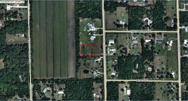 1166 Poinsetta St, Bunnell, FL 32110