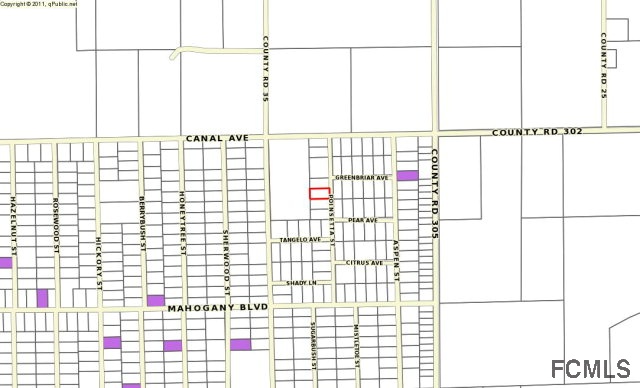 1166 Poinsetta St, Bunnell, FL 32110