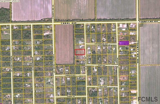 1166 Poinsetta St, Bunnell, FL 32110
