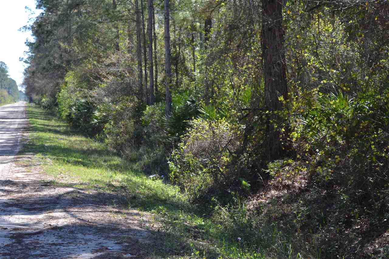 2017 Avocado Blvd, Bunnell, FL 32110