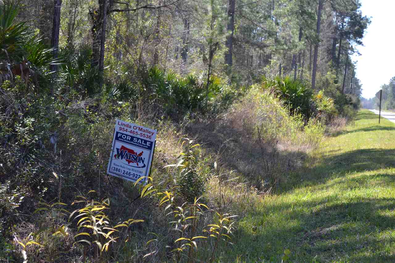 2017 Avocado Blvd, Bunnell, FL 32110