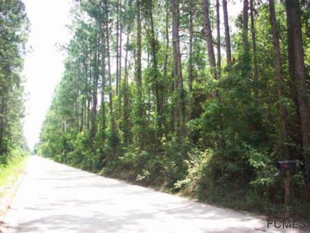 6195 Tangerine Ave, Bunnell, FL 32110