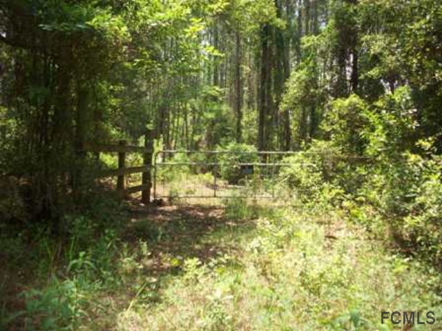 6195 Tangerine Ave, Bunnell, FL 32110