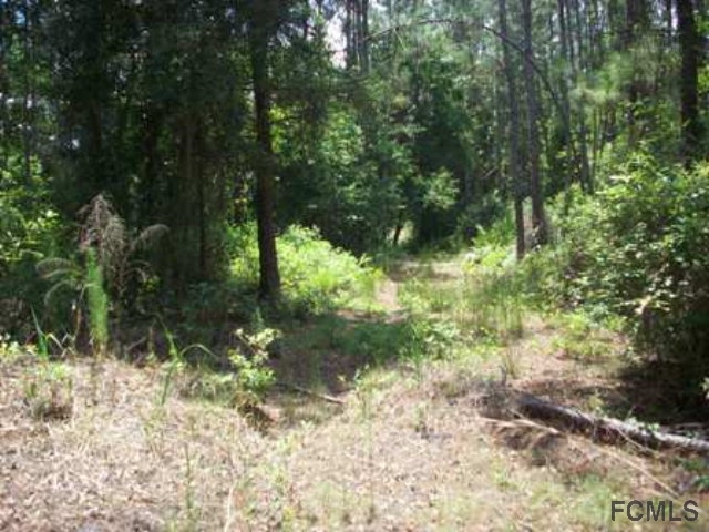 6195 Tangerine Ave, Bunnell, FL 32110