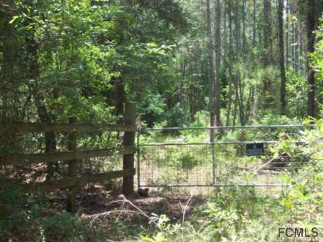 6195 Tangerine Ave, Bunnell, FL 32110