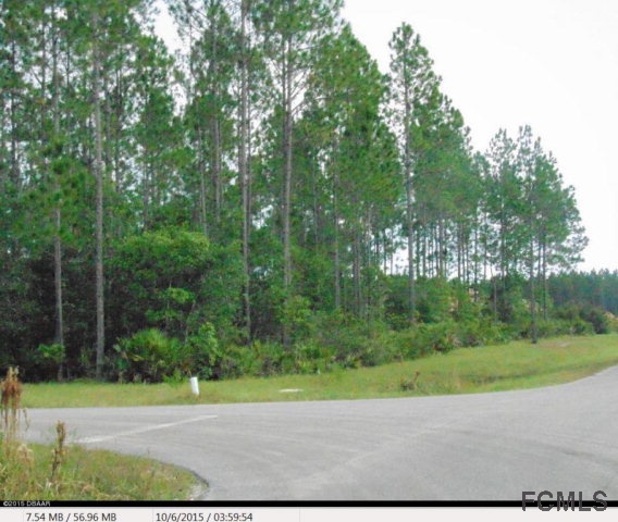 Bunnell, FL 32110