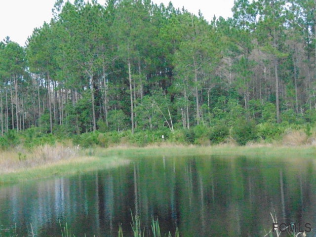 Bunnell, FL 32110