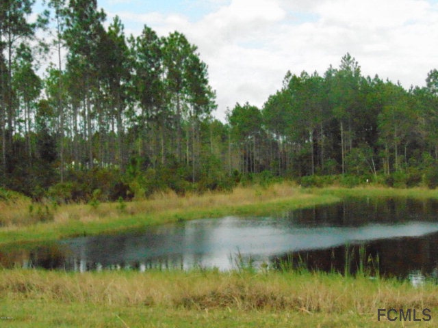 Bunnell, FL 32110