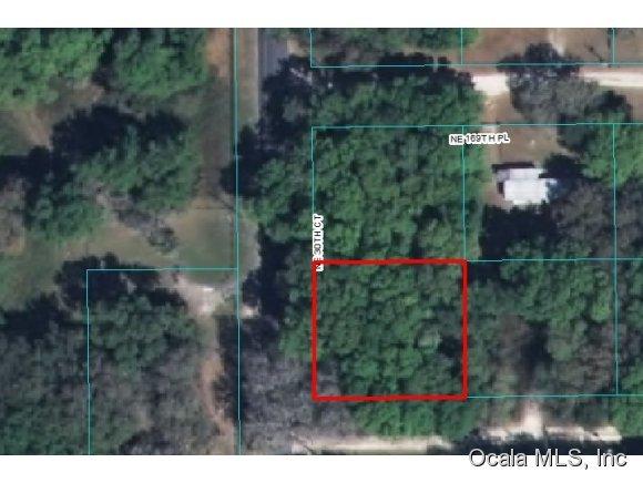 00 NE 30 Ct/169 Lane, Citra, FL 32113