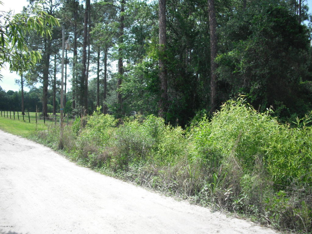 0 NE 132ND Place, Citra, FL 32113