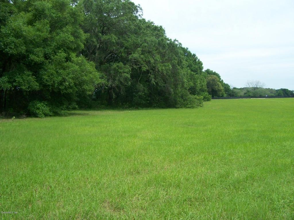 0 NW 10 Circle, Citra, FL 32113