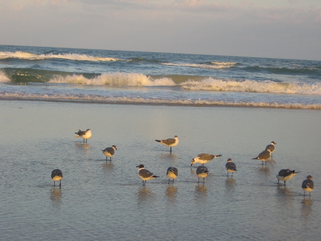 2700 N Atlantic Ave, Daytona Beach, FL 32118