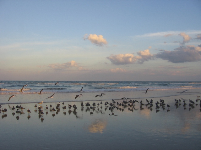 2700 N Atlantic Ave, Daytona Beach, FL 32118