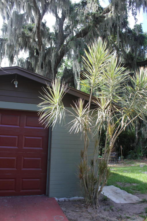 1028 JUNE Terrace, Daytona Beach, FL 32119