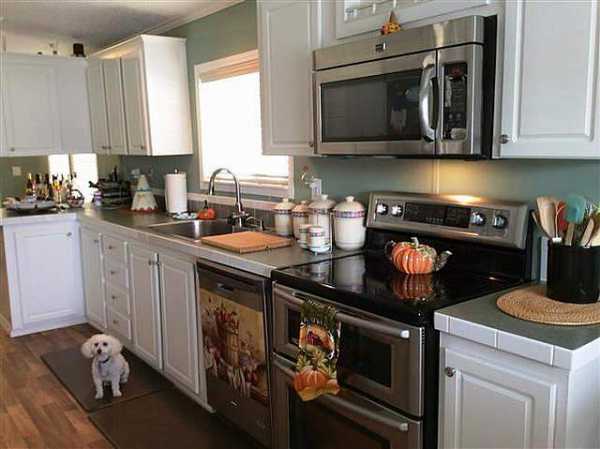 Briarwood 55+ Resort Community5628 PinelandPort Orange, FL 32127