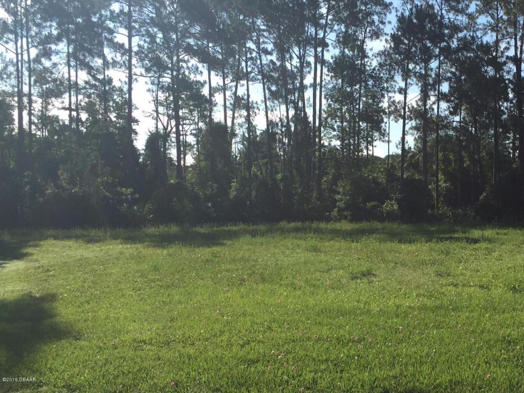 2765 AUTUMN LEAVES Drive, Port Orange, FL 32128