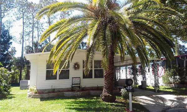Colony In The Wood53 Maple in the WoodPort Orange, FL 32129
