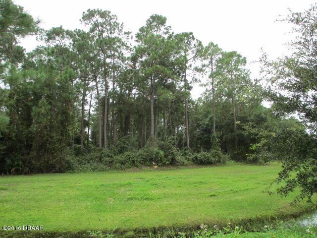 0 Leone Lane, Port Orange, FL 32129