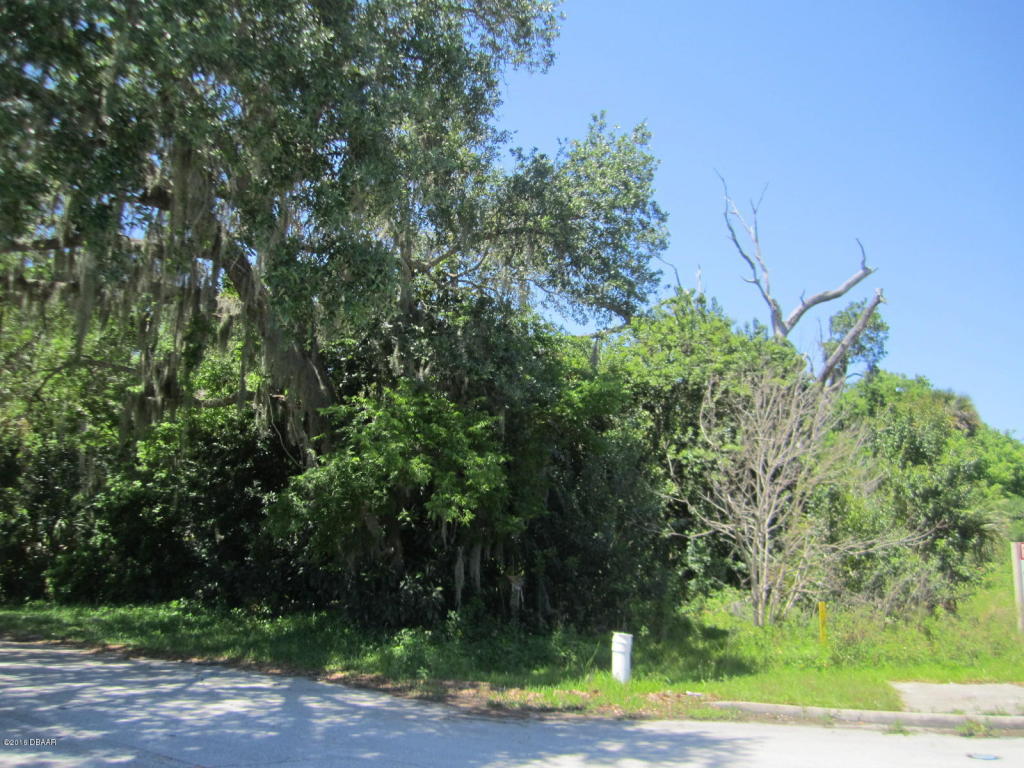 0 Nova Road, Port Orange, FL 32129