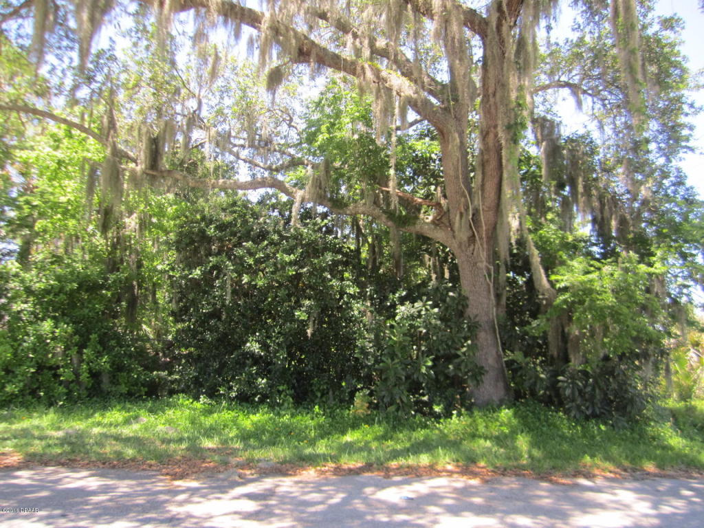 0 Nova Road, Port Orange, FL 32129