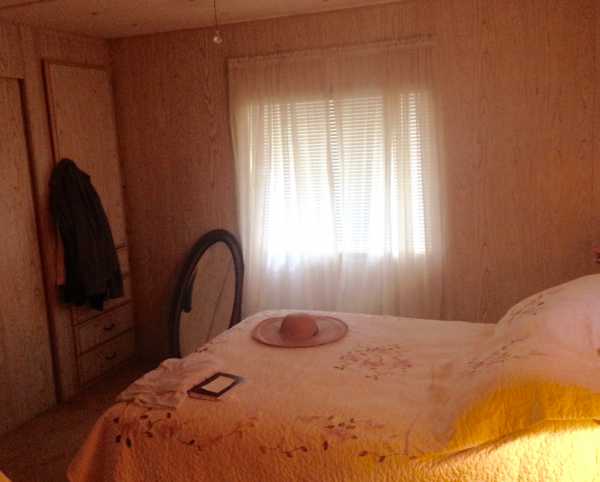 Lamplighter204 Skipper DrivePort Orange, FL 32129