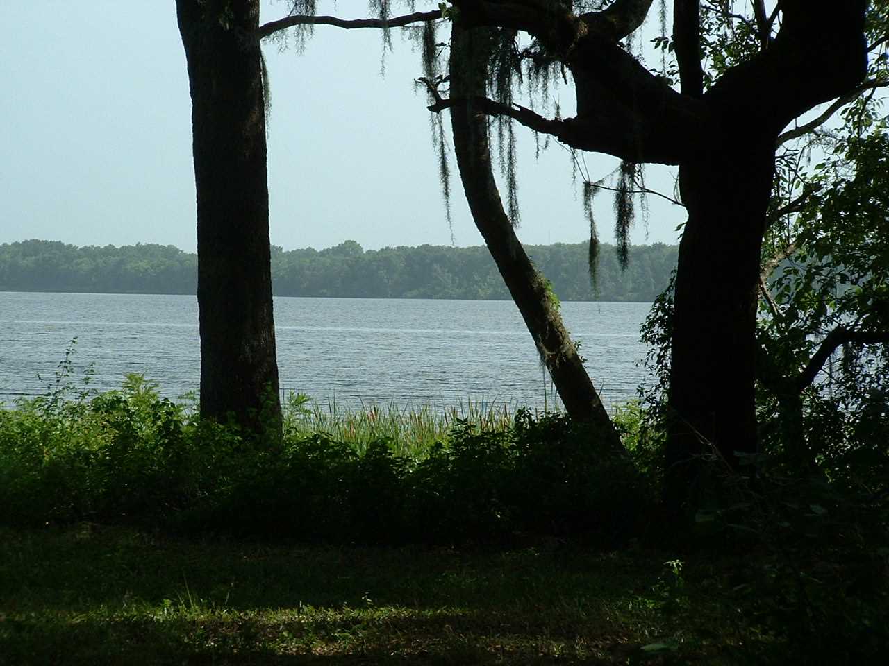 239 East River Road, East Palatka, FL 32131