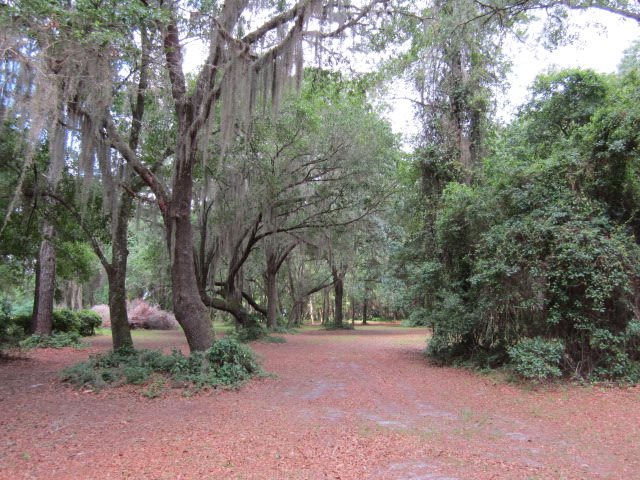 239 East River Road, East Palatka, FL 32131