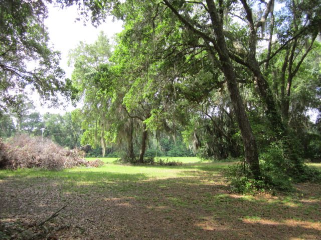 239 East River Road, East Palatka, FL 32131