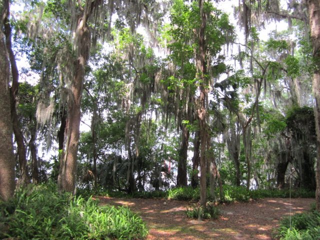 239 East River Road, East Palatka, FL 32131