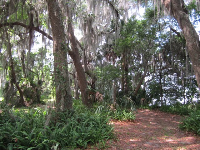 239 East River Road, East Palatka, FL 32131
