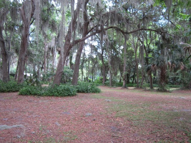 239 East River Road, East Palatka, FL 32131