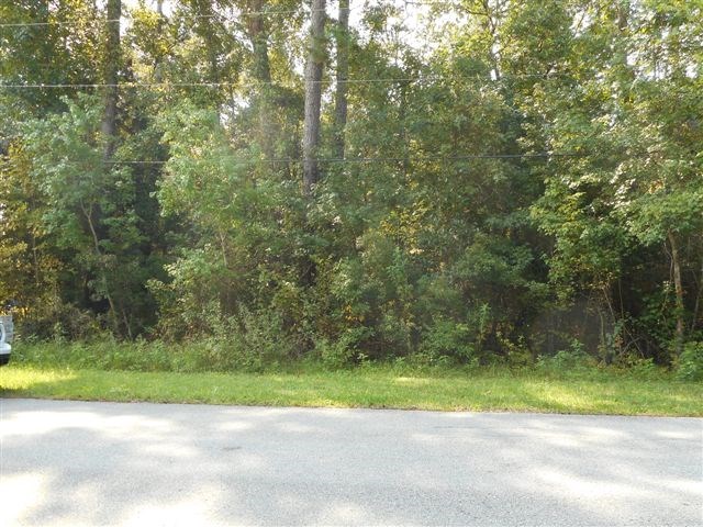 103 Magnolia Avenue, East Palatka, FL 32131