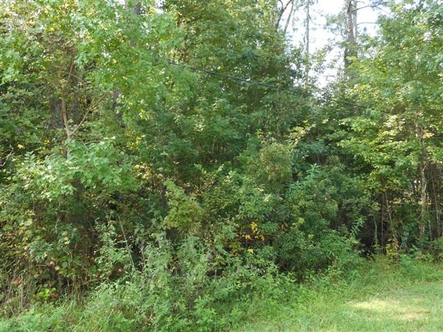 103 Magnolia Avenue, East Palatka, FL 32131