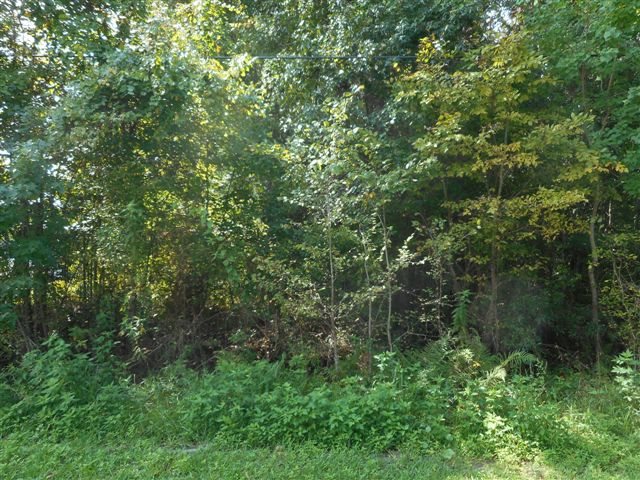 103 Magnolia Avenue, East Palatka, FL 32131