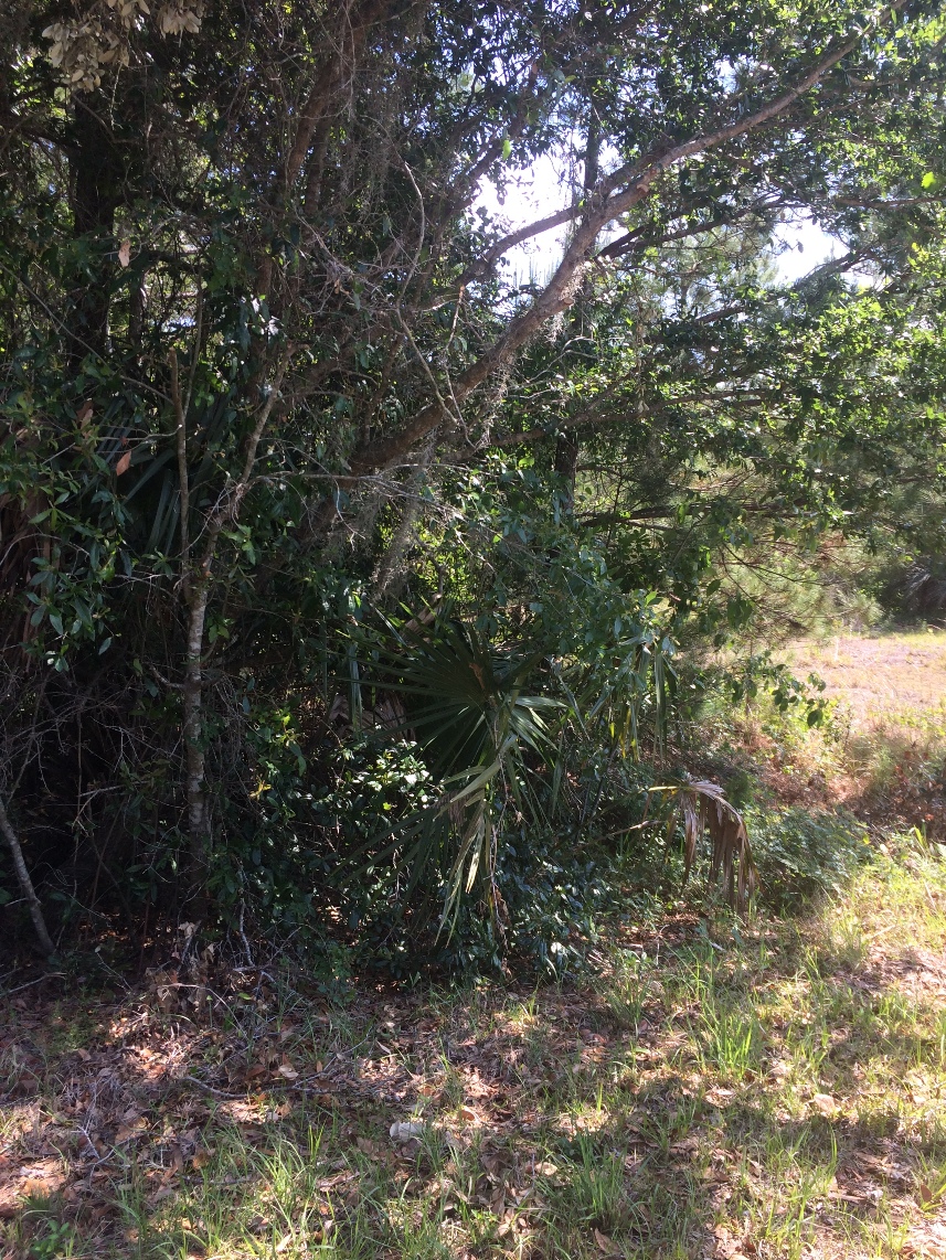 180 Jim Bryant Rd, East Palatka, FL 32131