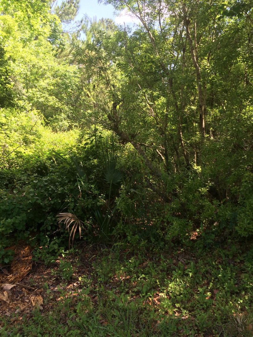 180 Jim Bryant Rd, East Palatka, FL 32131