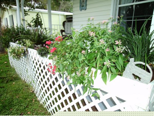 Magnolia Village3113 Natchez LaneEdgewater, FL 32132