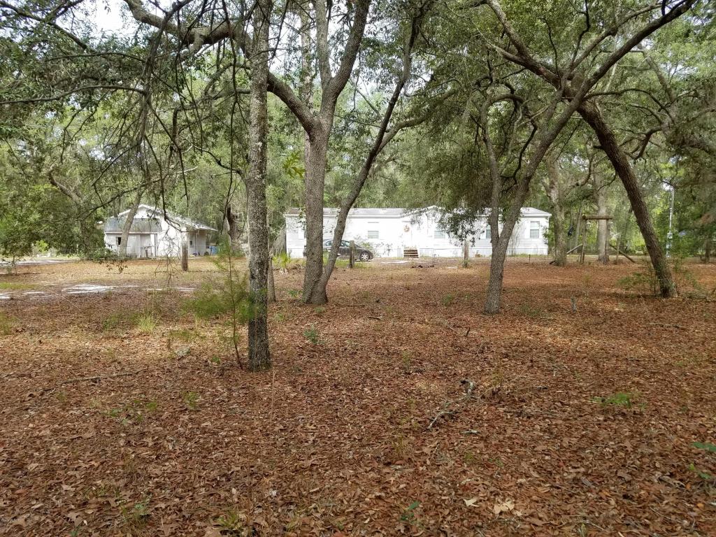 10865 NE 210th Street, Fort McCoy, FL 32134