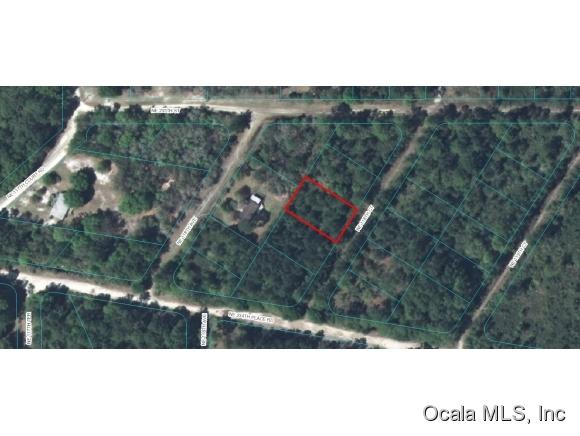 00 NE 118 Null Court, Fort McCoy, FL 32134