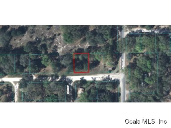 00 NE 149th Null Lane, Fort McCoy, FL 32134