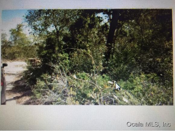 0 NE 236 Null Lane, Hog Valley, FL 32134