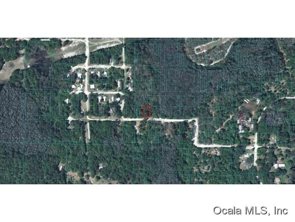 0 NE 151 Null Lane, Fort McCoy, FL 32134