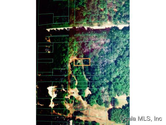 0 NE 130 Ct Null Road, Fort McCoy, FL 32134