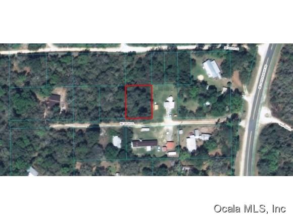 00 NE 207th Place, Fort McCoy, FL 32134
