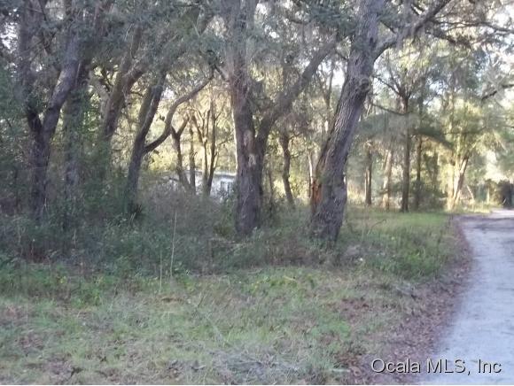 0 NE 107TH Court, Fort McCoy, FL 32134