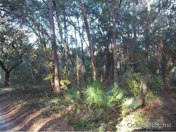 0 NE 107TH Court, Fort McCoy, FL 32134