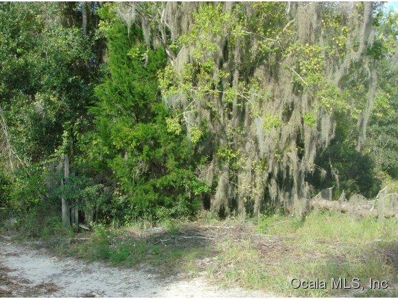8003 NE 306TH Terrace, Salt Springs, FL 32134